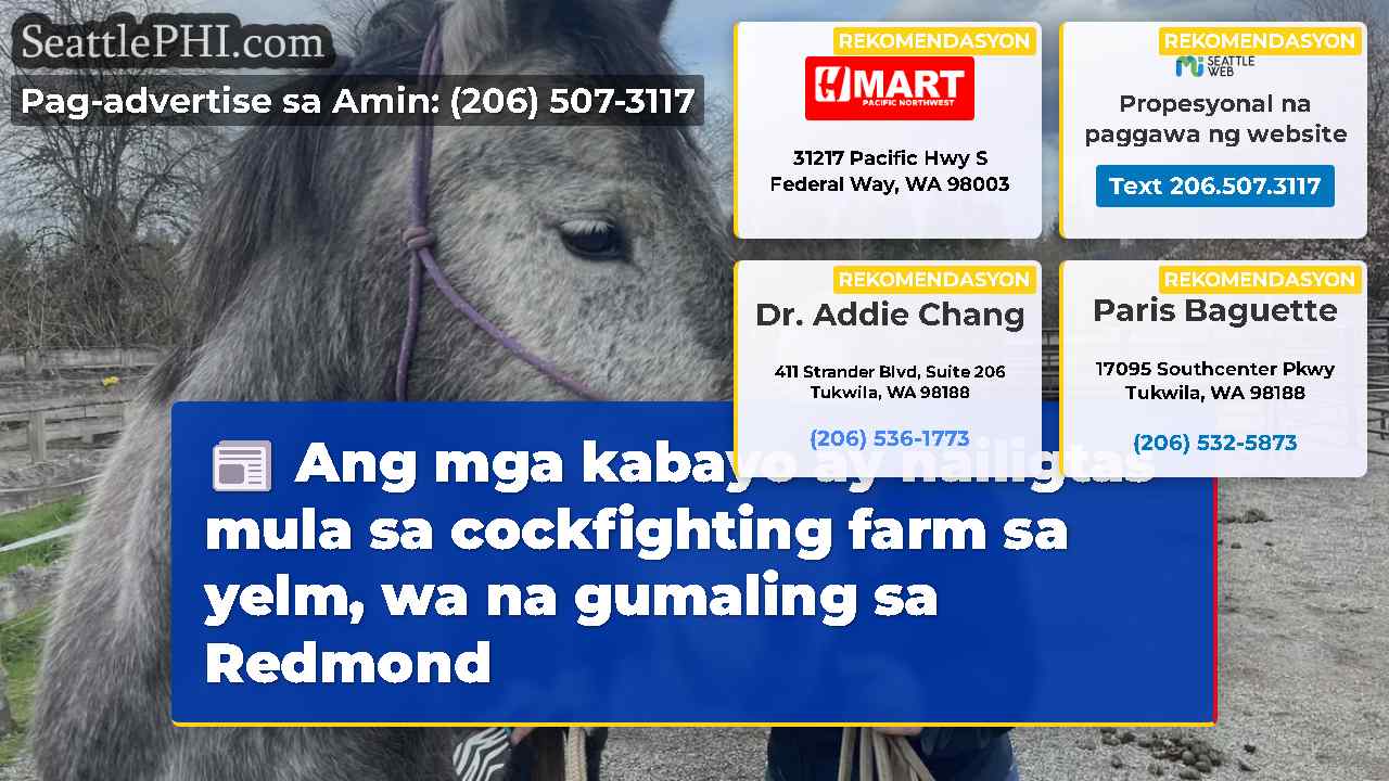 Ang mga kabayo ay nailigtas mula sa cockfighting