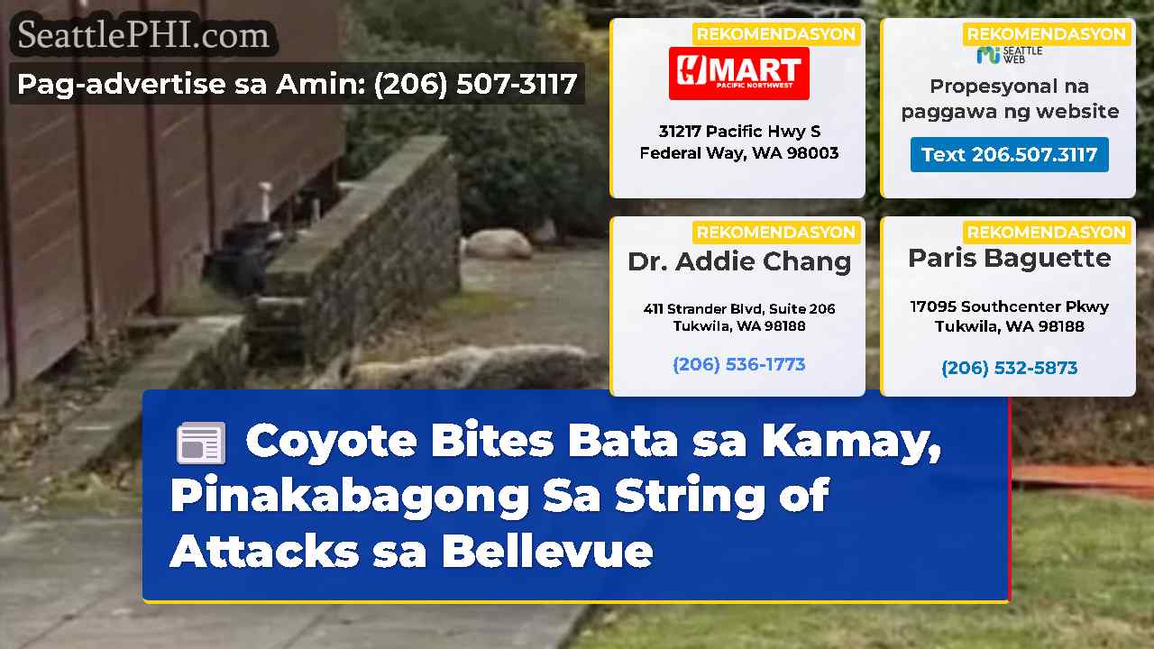 Coyote Bites Bata sa Kamay, Pinakabagong Sa