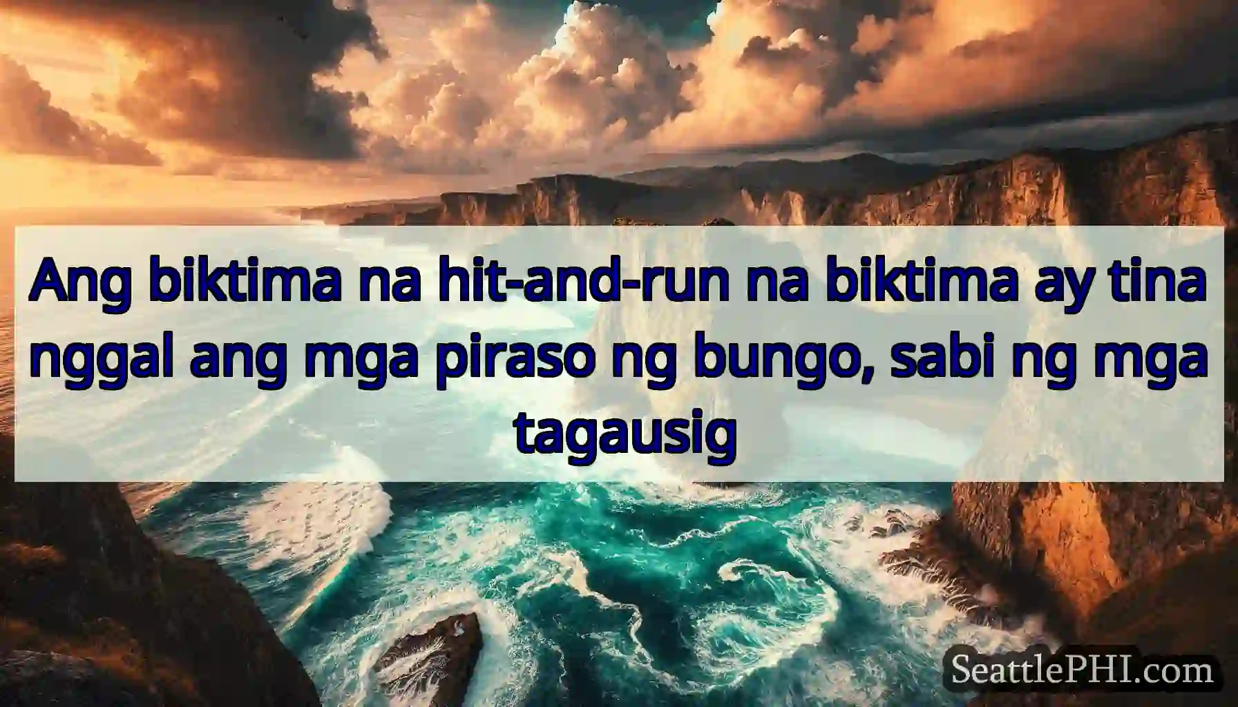 Ang biktima na hit-and-run na biktima ay