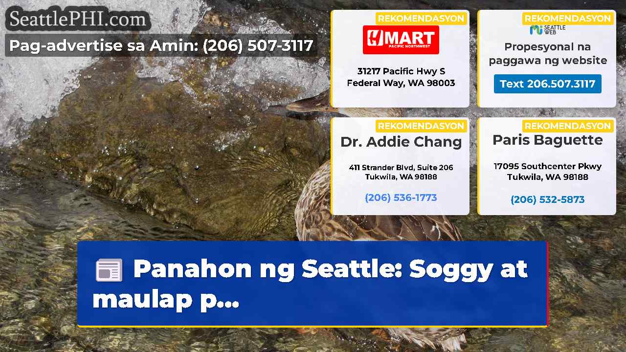Panahon ng Seattle: Soggy at maulap p...