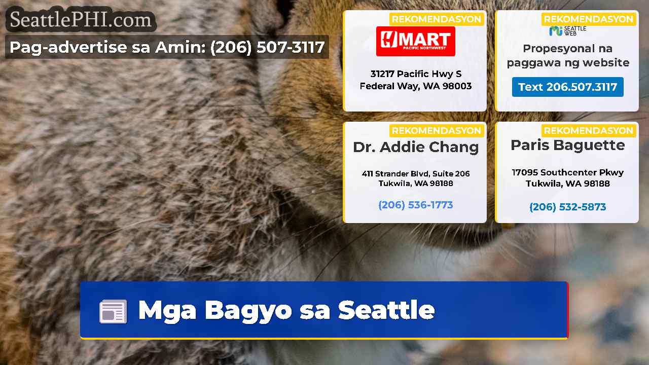 Mga Bagyo sa Seattle