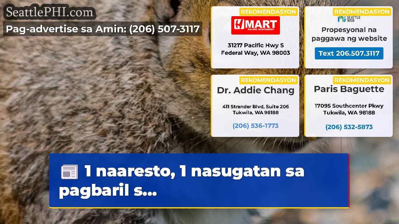 1 naaresto, 1 nasugatan sa pagbaril s...