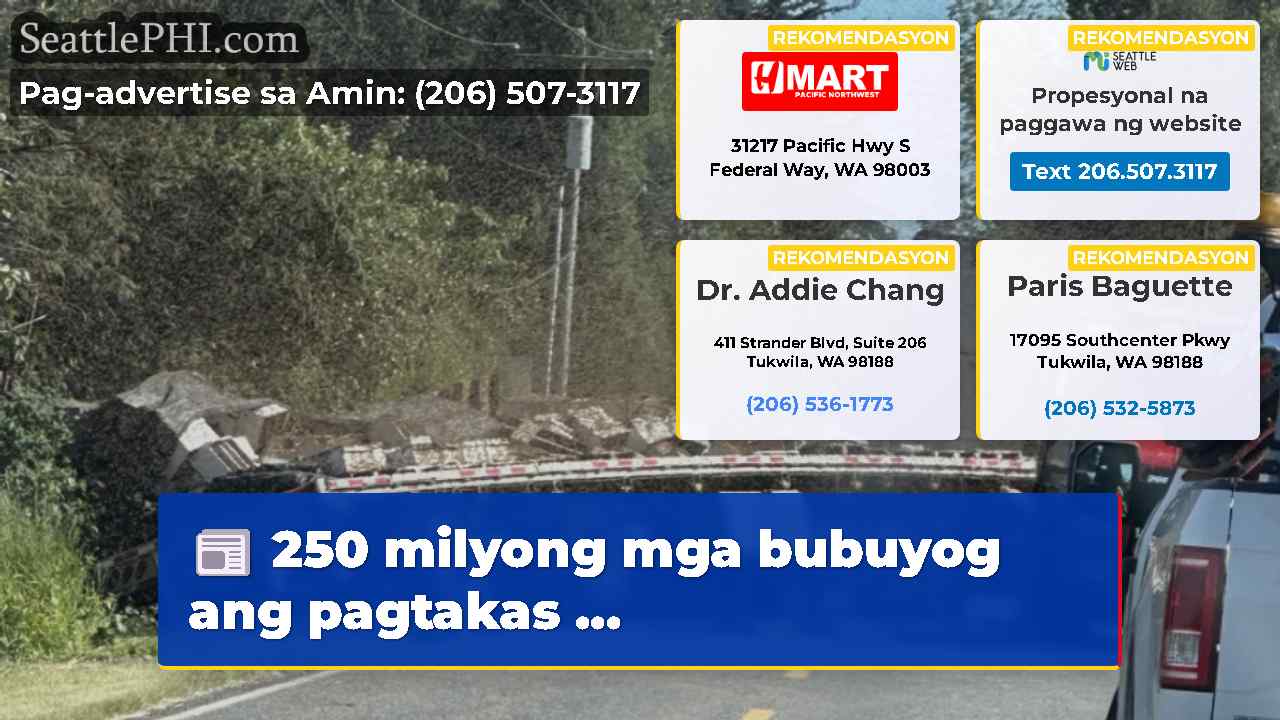 250 milyong mga bubuyog ang pagtakas ...