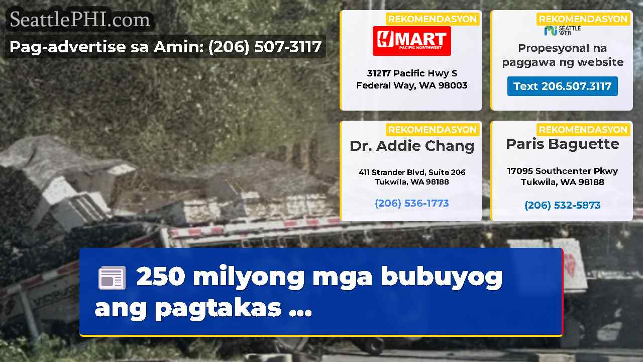 250 milyong mga bubuyog ang pagtakas ...