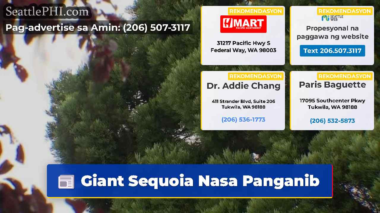 balita sa Seattle SeattlePHI