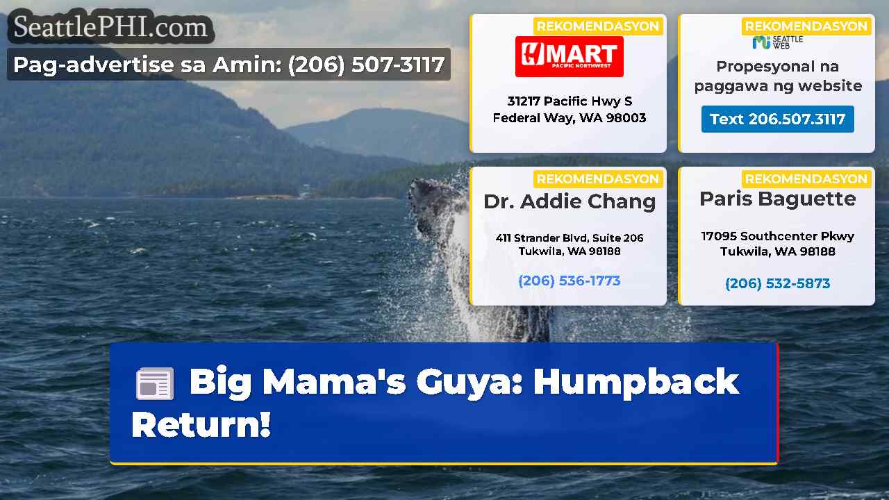 Big Mama's Guya: Humpback Return!
