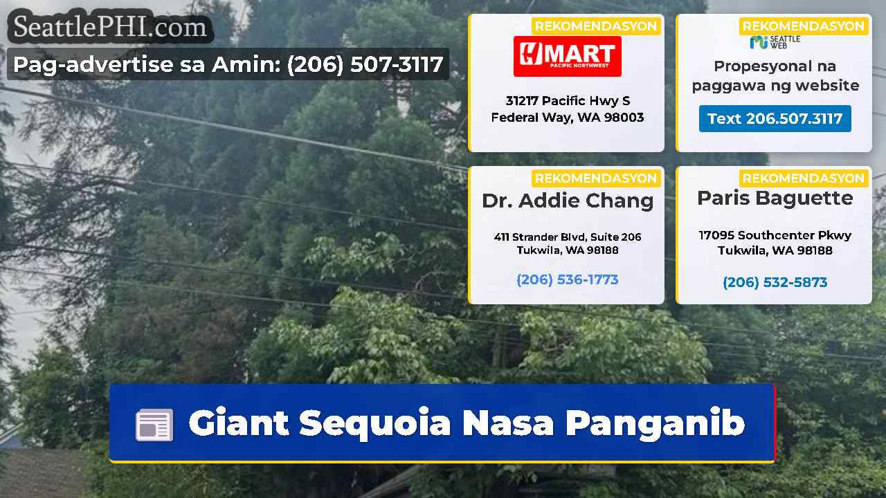 balita sa Seattle SeattlePHI