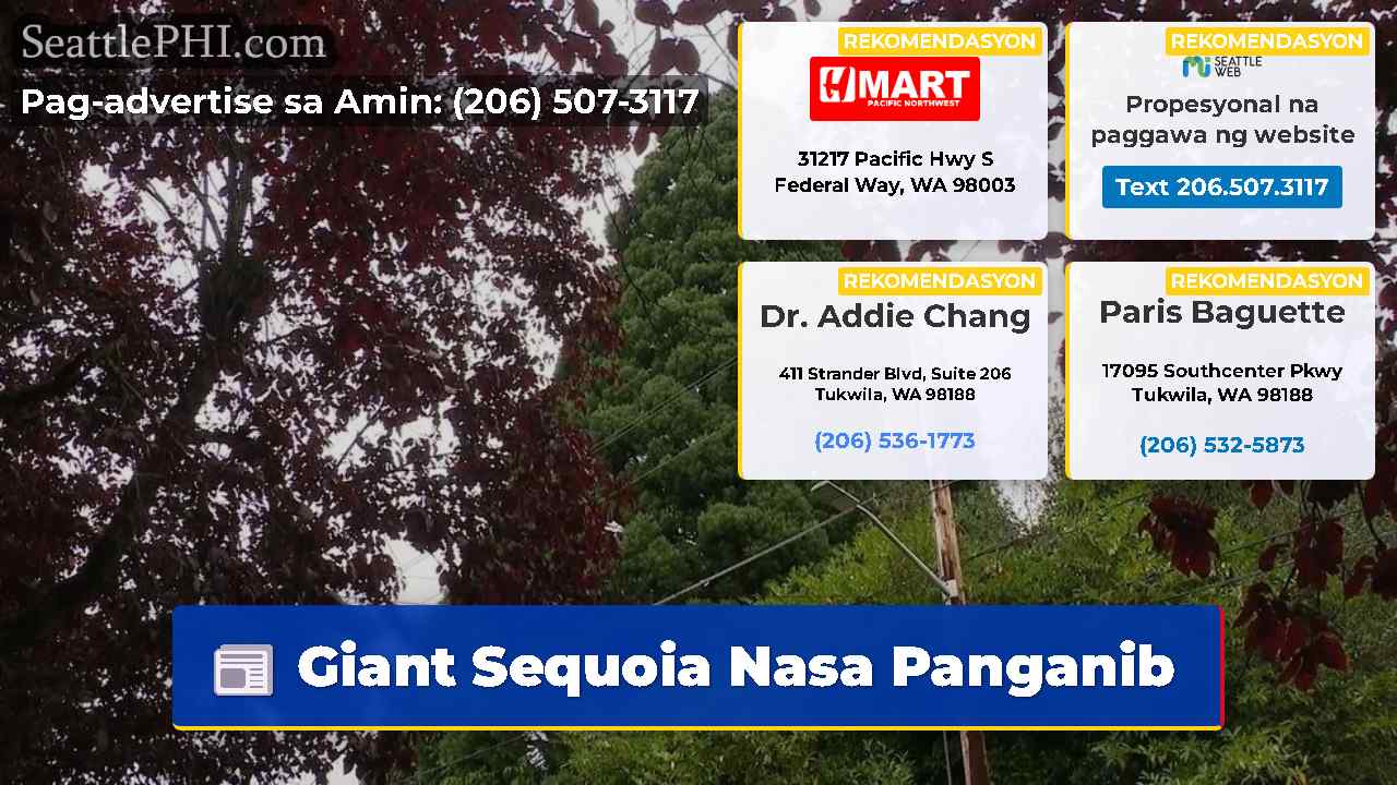 Giant Sequoia Nasa Panganib