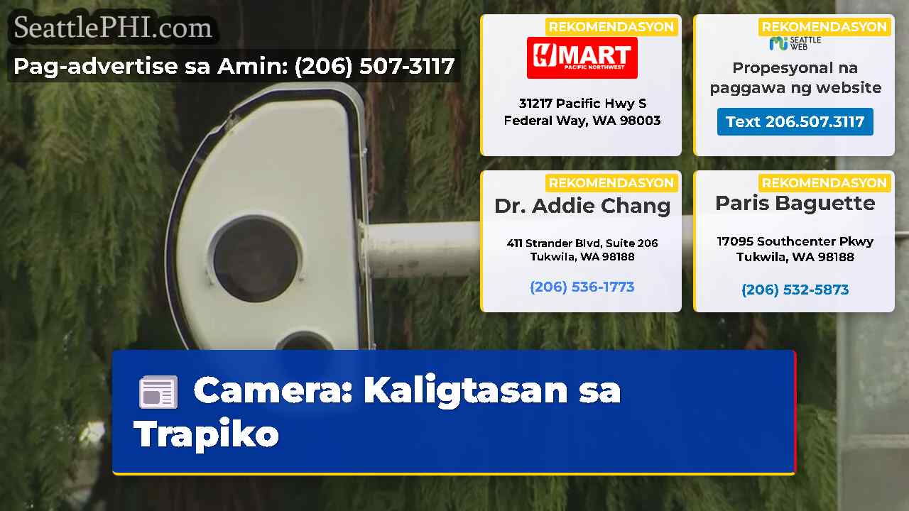 Camera Kaligtasan sa Trapiko