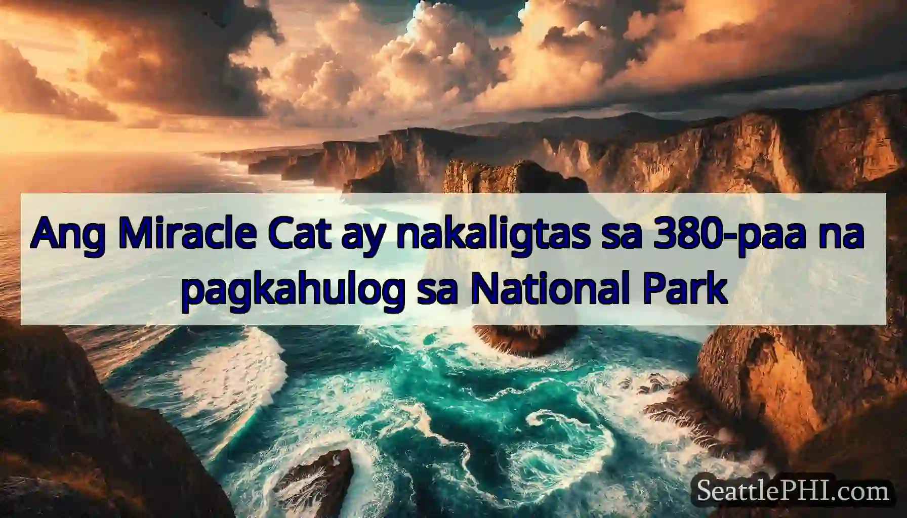Ang Miracle Cat ay nakaligtas sa 380-paa na