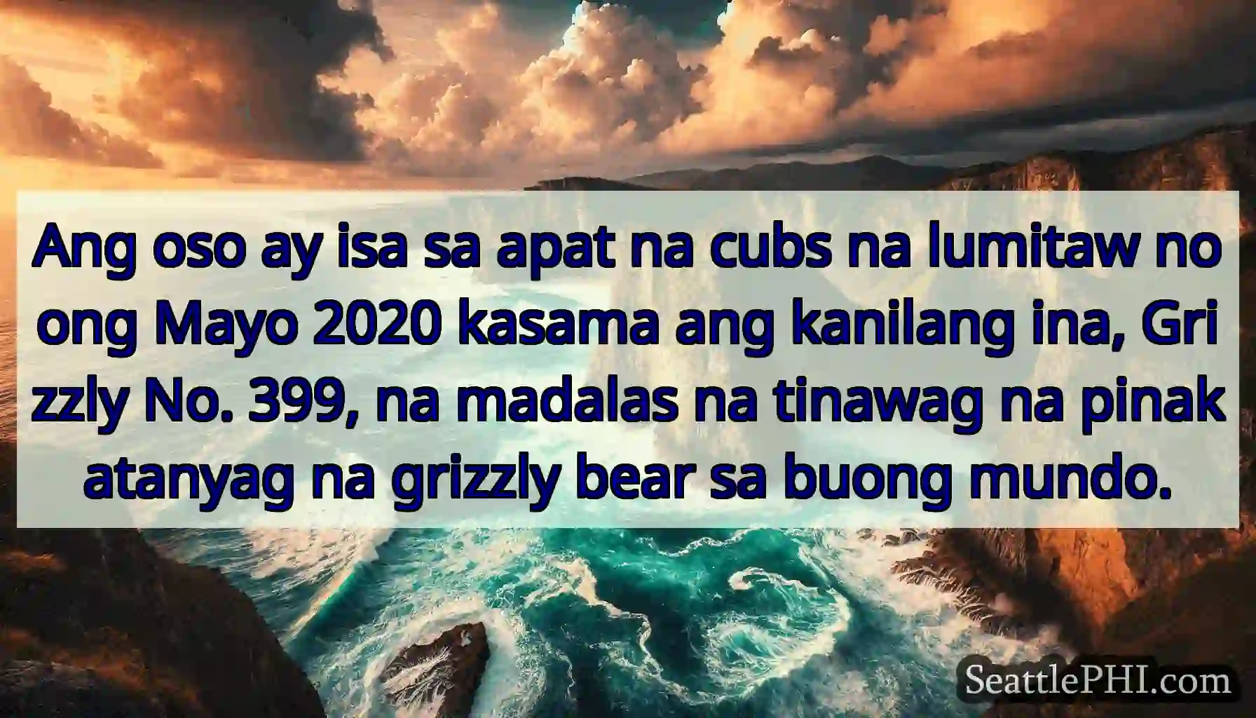Ang oso ay isa sa apat na cubs na lumitaw noong