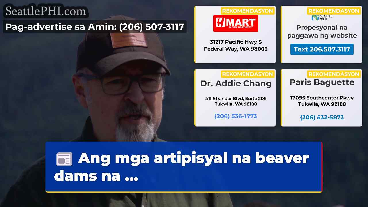 Ang mga artipisyal na beaver dams na …