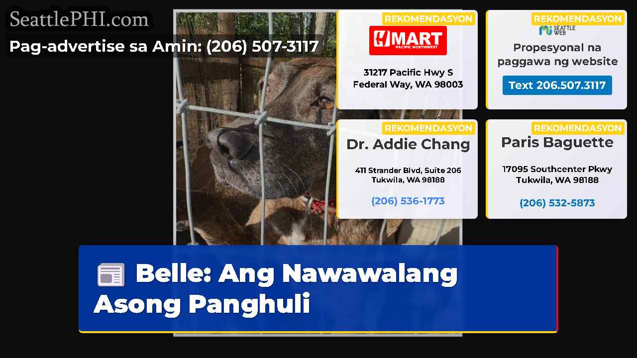 Belle Ang Nawawalang Asong Panghuli