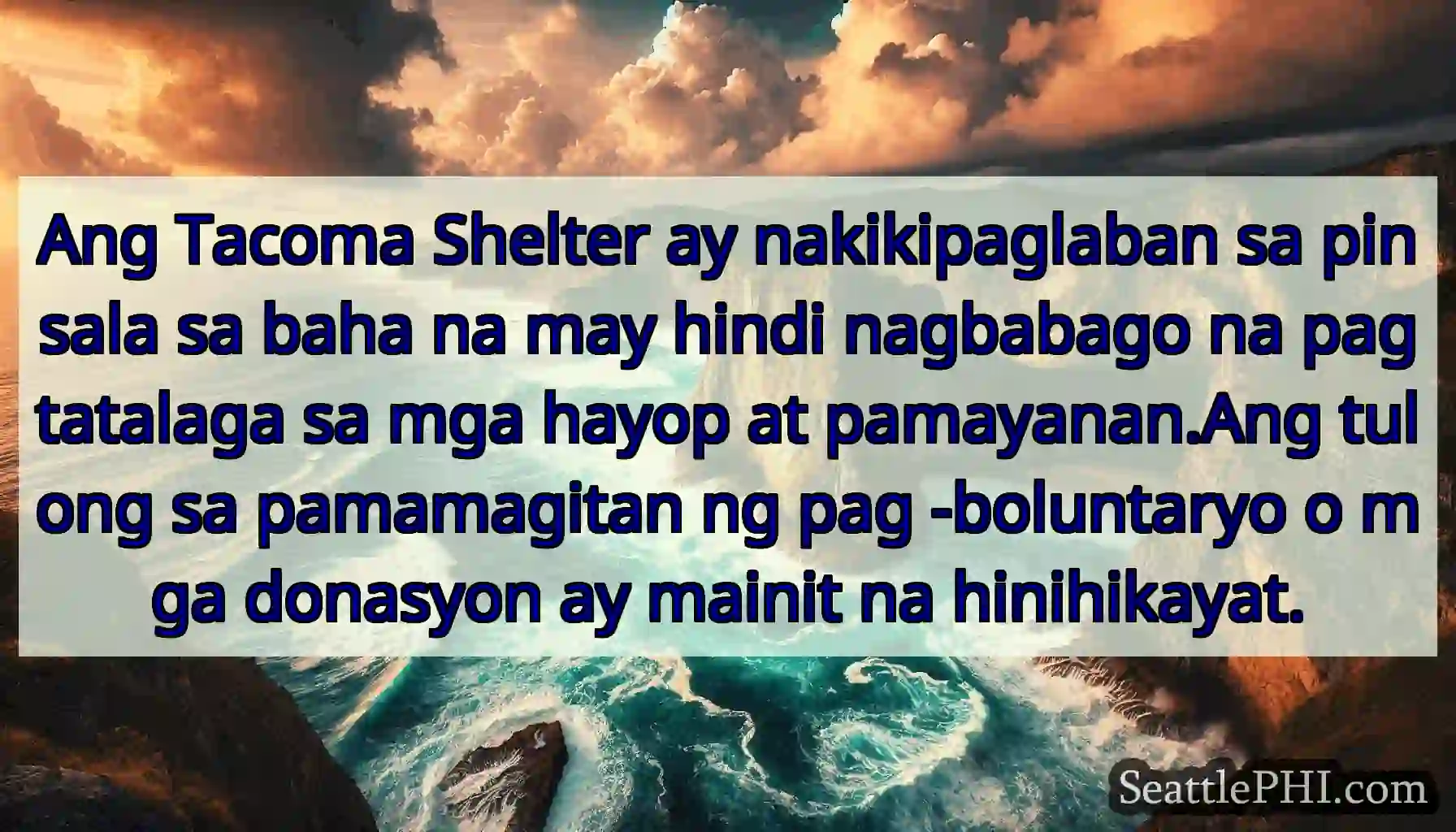 Ang Tacoma Shelter ay nakikipaglaban sa pinsala