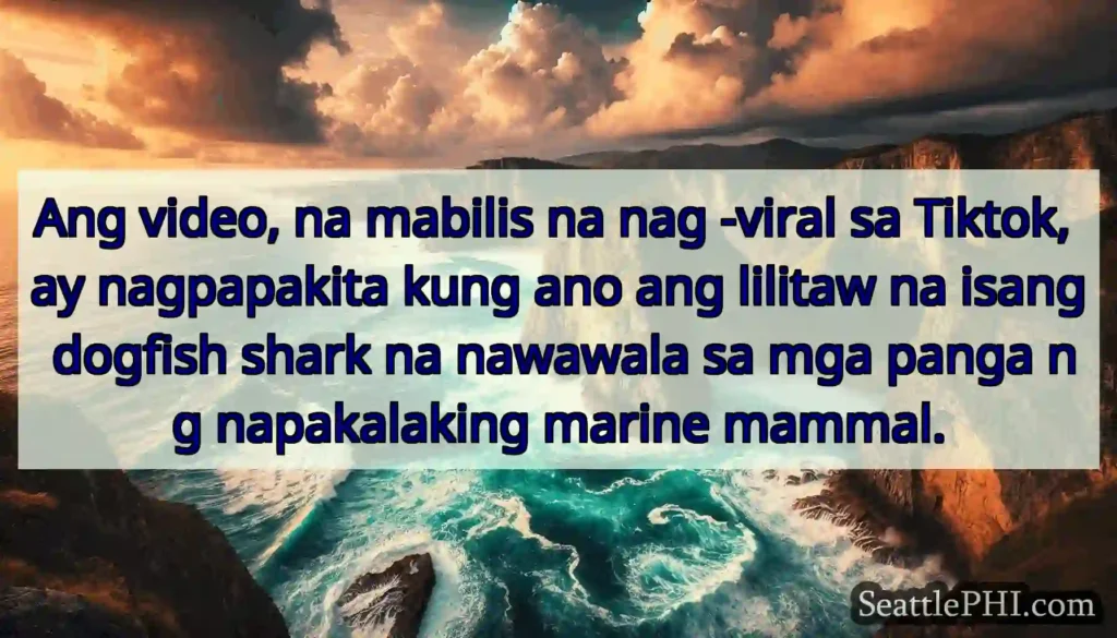 Ang video, na mabilis na nag -viral sa Tiktok, ay