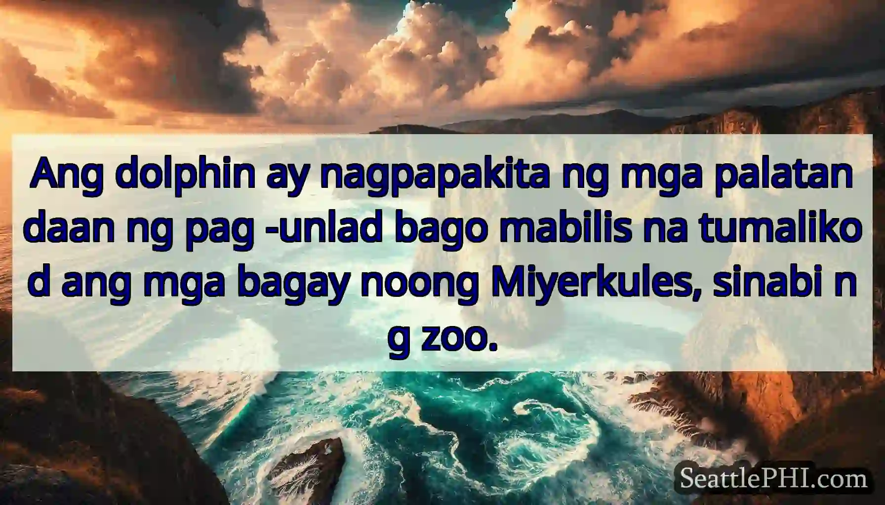 Ang dolphin ay nagpapakita ng mga palatandaan ng