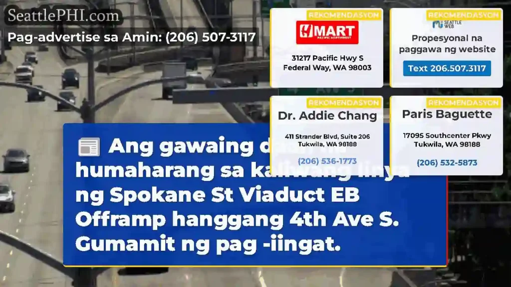 Ang gawaing daan na humaharang sa kaliwang linya