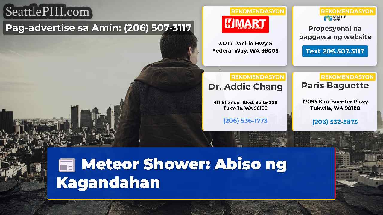 Meteor Shower: Abiso ng Kagandahan