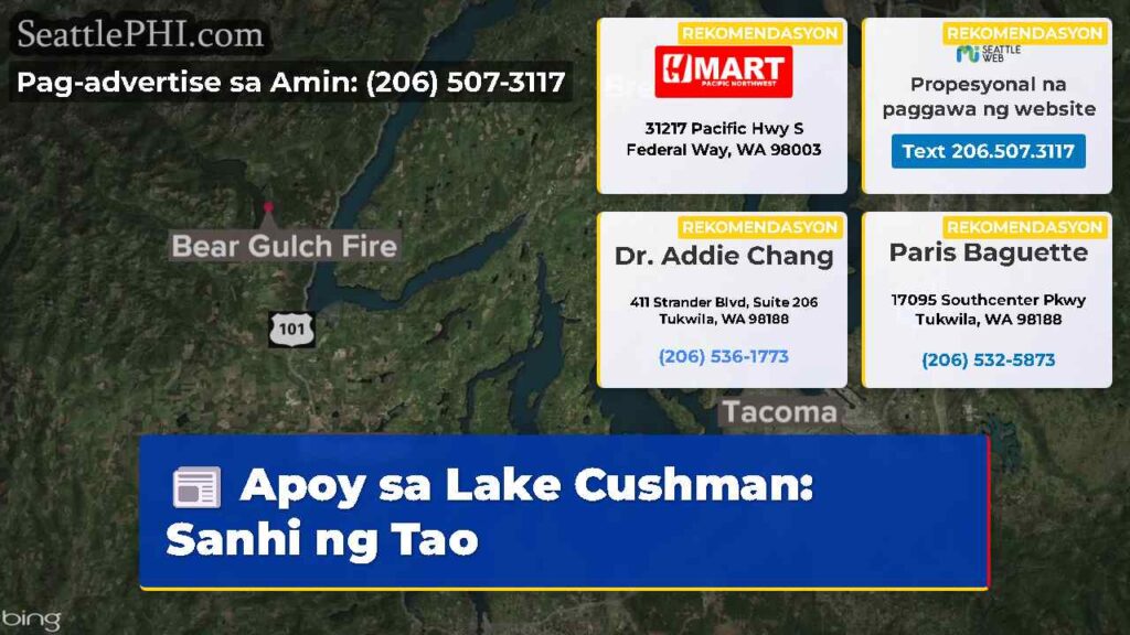 Apoy sa Lake Cushman: Sanhi ng Tao