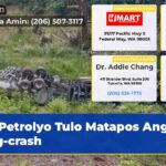 Petrolyo Tulo Matapos Ang Pag-crash