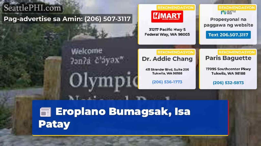 Eroplano Bumagsak, Isa Patay