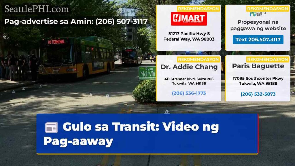 Gulo sa Transit: Video ng Pag-aaway