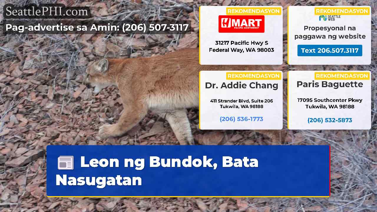Leon ng Bundok Bata Nasugatan