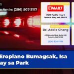 Eroplano Bumagsak Isa Patay sa Park