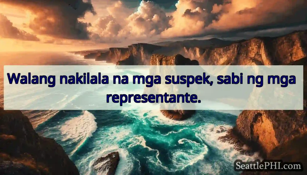 Walang nakilala na mga suspek, sabi ng mga