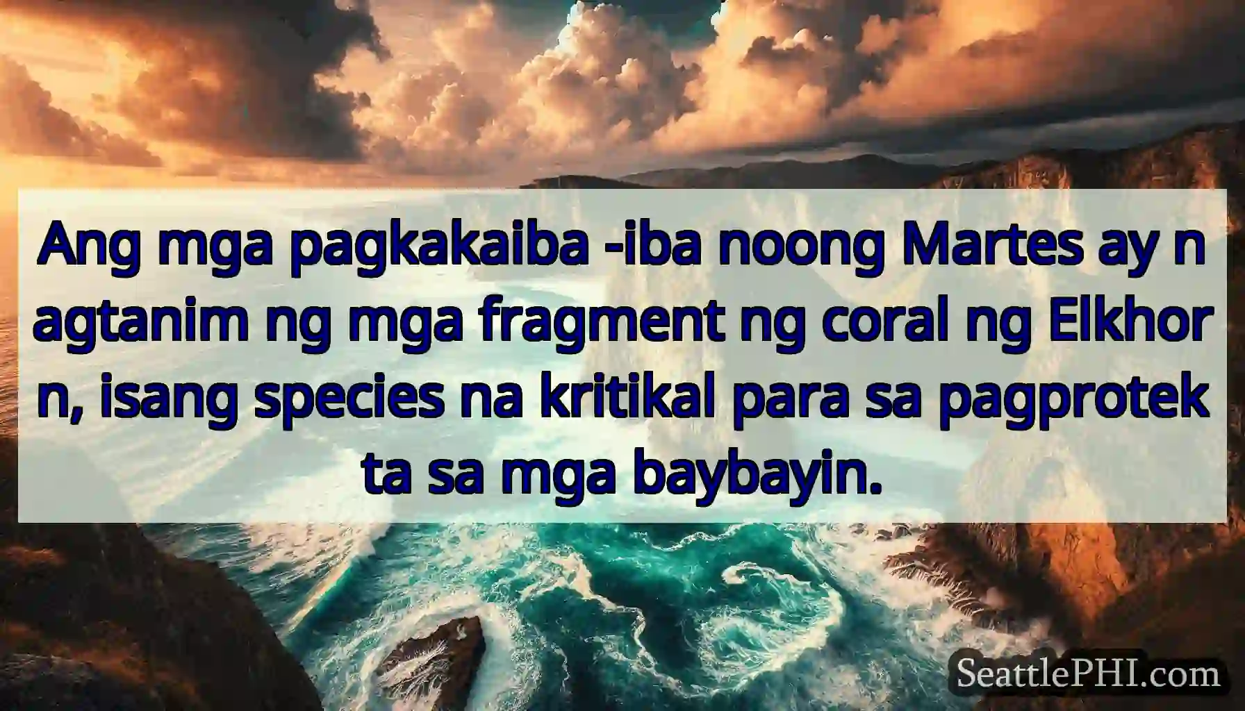 Ang mga pagkakaiba -iba noong Martes ay nagtanim