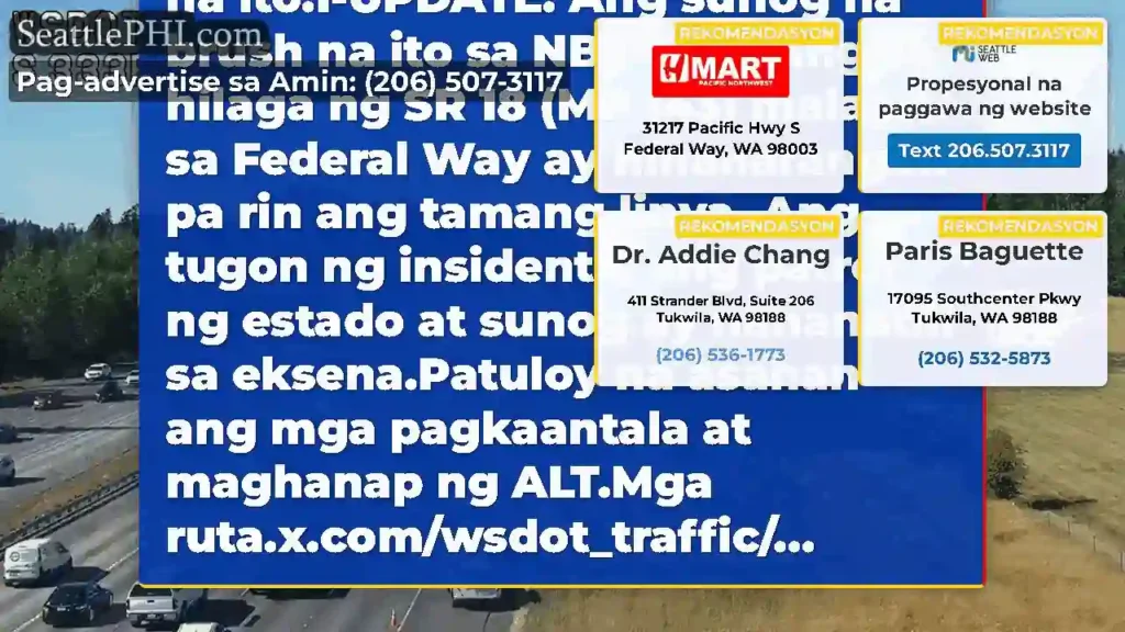Nilinaw: Ang brush na ito sa NB I-5 pagkatapos ng