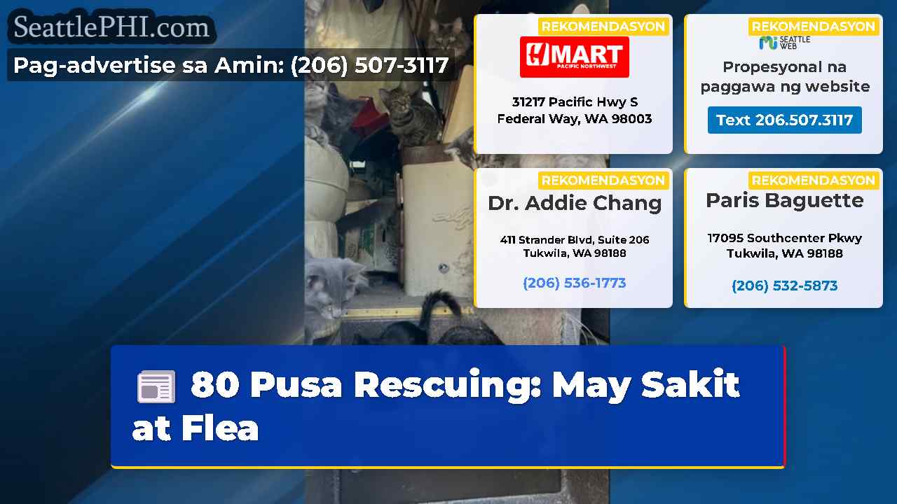 80 Pusa Rescuing: May Sakit at Flea