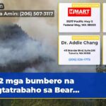 2 mga bumbero na nagtatrabaho sa Bear…