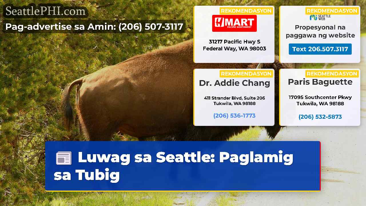 Luwag sa Seattle: Paglamig sa Tubig