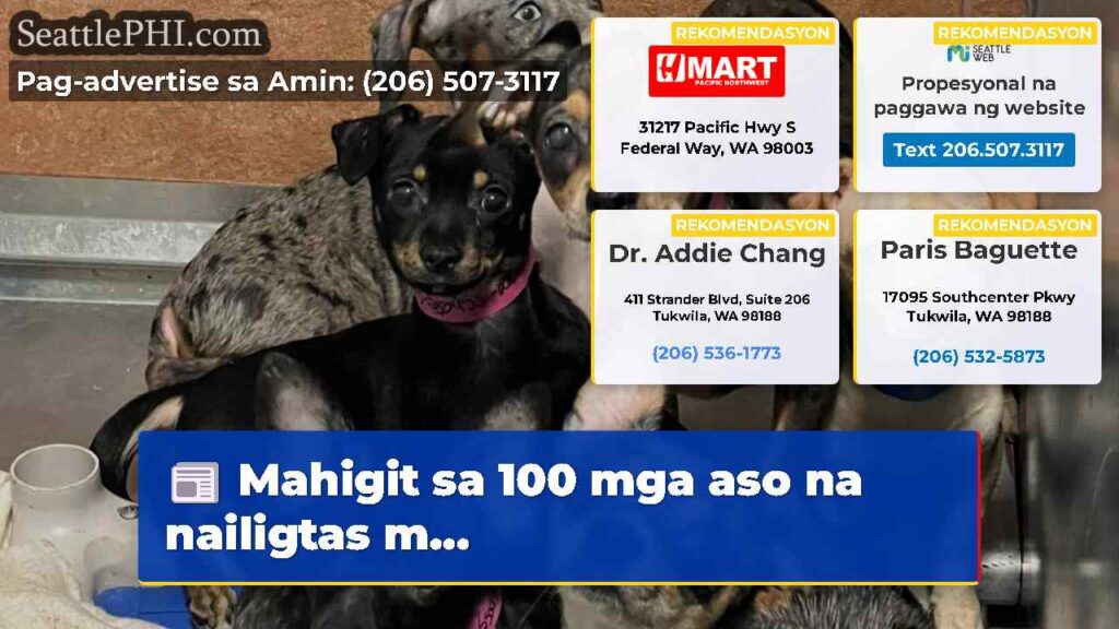 Mahigit sa 100 mga aso na nailigtas m...