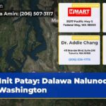 Init Patay Dalawa Nalunod sa Washington