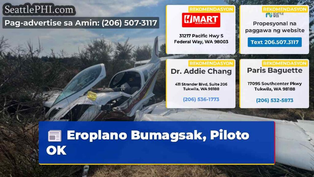 Eroplano Bumagsak, Piloto OK