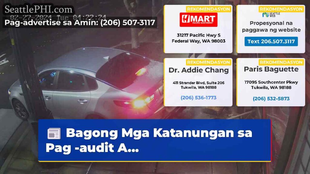 Bagong Mga Katanungan sa Pag -audit A...
