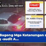 Bagong Mga Katanungan sa Pag -audit A…