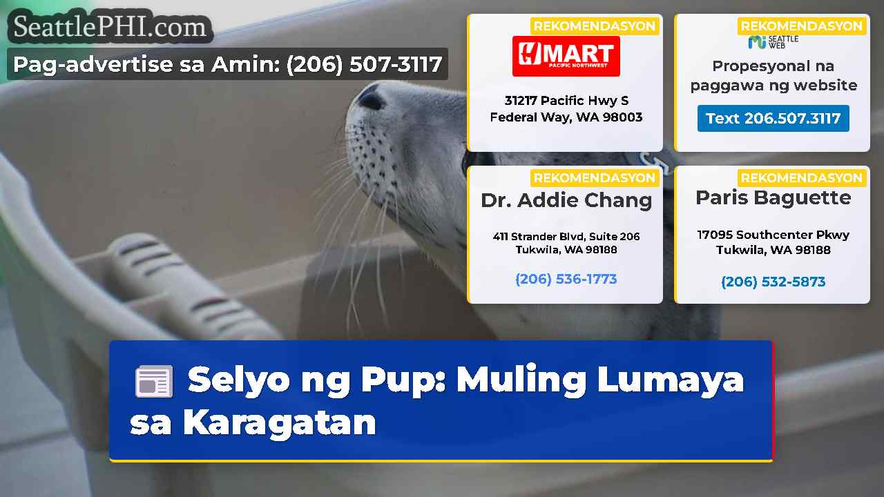 Selyo ng Pup: Muling Lumaya sa Karagatan