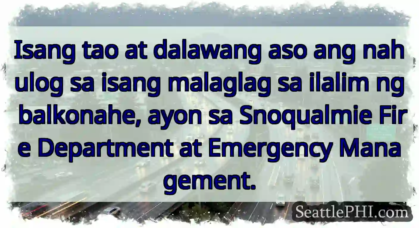 Isang tao at dalawang aso ang nahulog sa isang