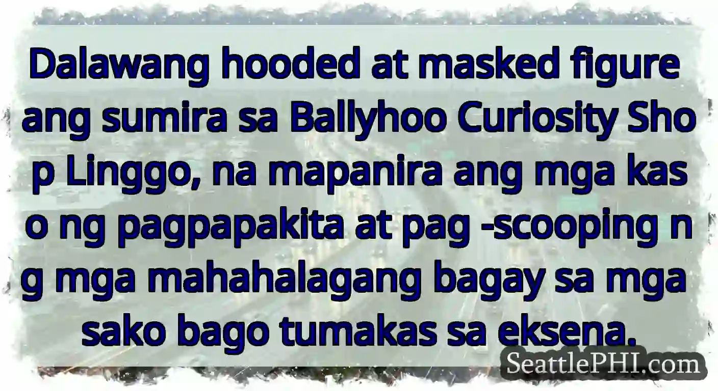 Dalawang hooded at masked figure ang sumira sa