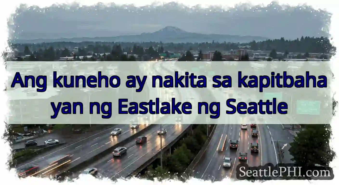 Ang kuneho ay nakita sa kapitbahayan ng Eastlake