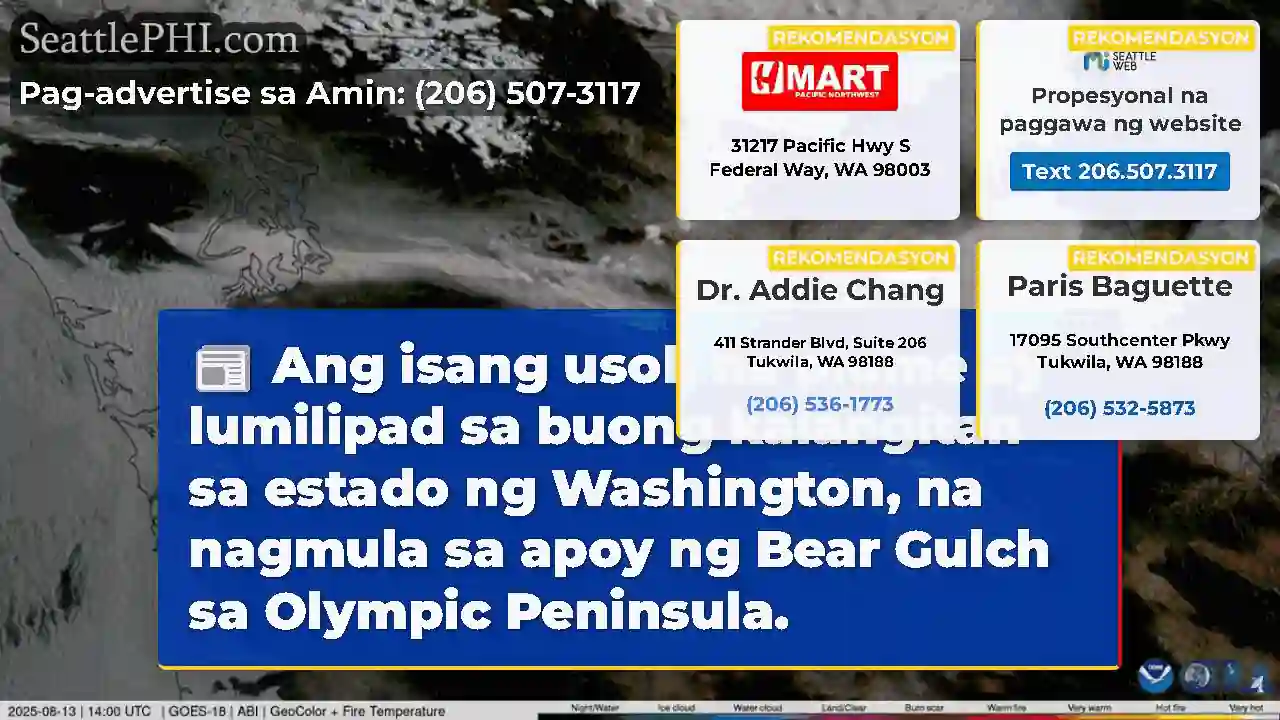Ang isang usok na plume ay lumilipad sa buong