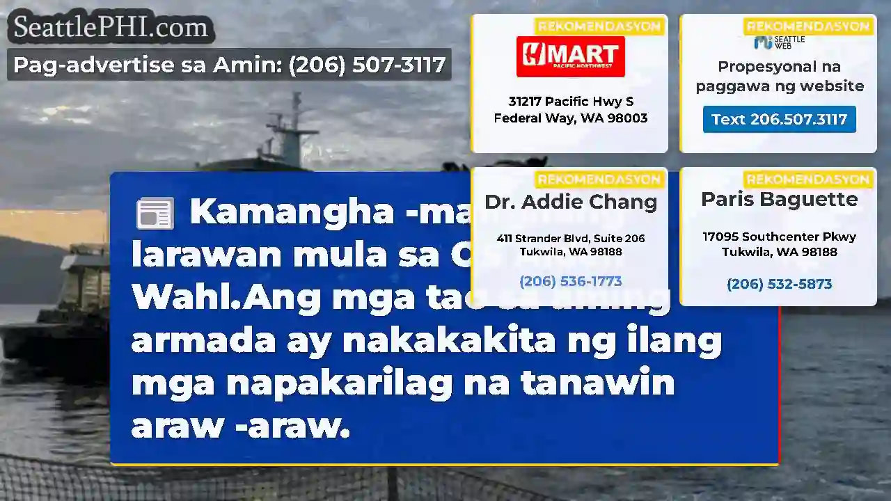 Kamangha -manghang larawan mula sa OS Aiden
