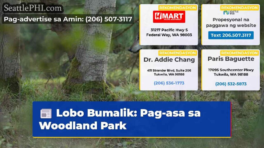Lobo Bumalik: Pag-asa sa Woodland Park
