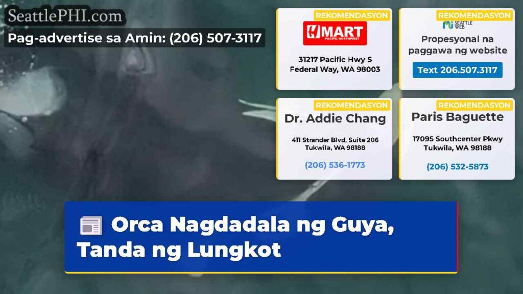 Orca Nagdadala ng Guya, Tanda ng Lungkot
