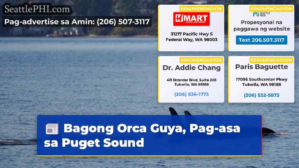 Bagong Orca Guya, Pag-asa sa Puget Sound
