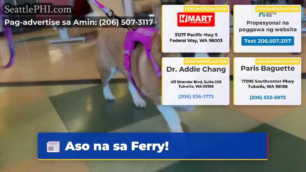 Aso na sa Ferry!