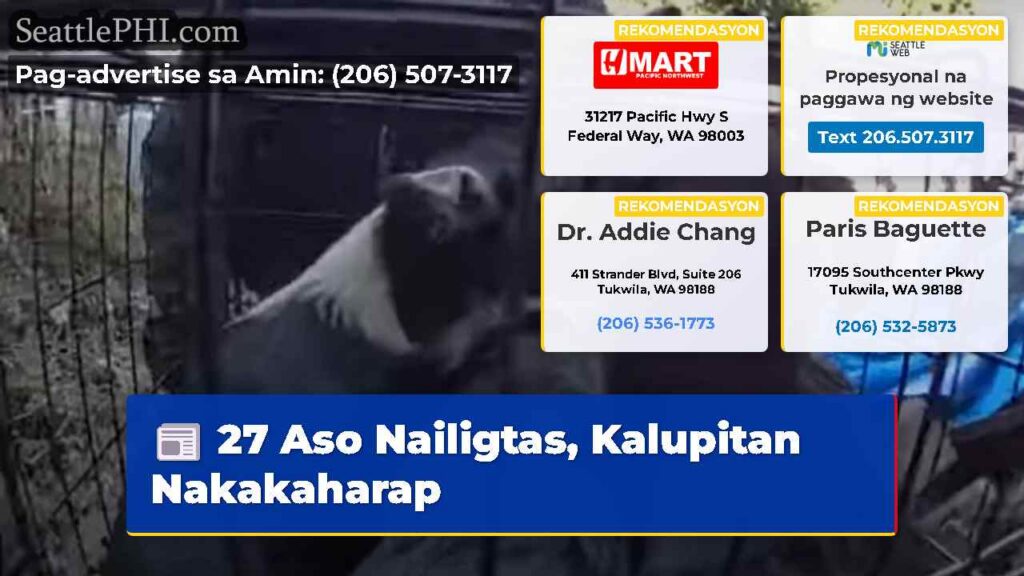 27 Aso Nailigtas, Kalupitan Nakakaharap